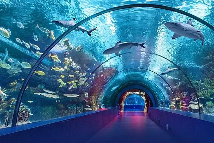 istanbul aquarium tour